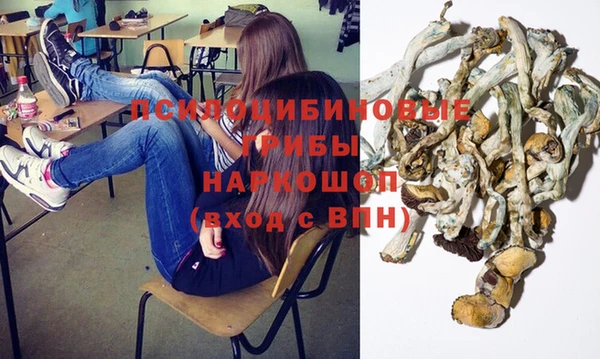 мяу мяу мука Аркадак
