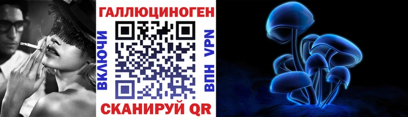 где продают   Курган  Псилоцибиновые грибы Magic Shrooms 